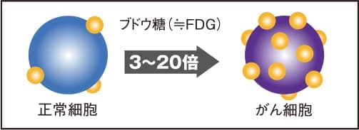 がんの発見原理イメージ